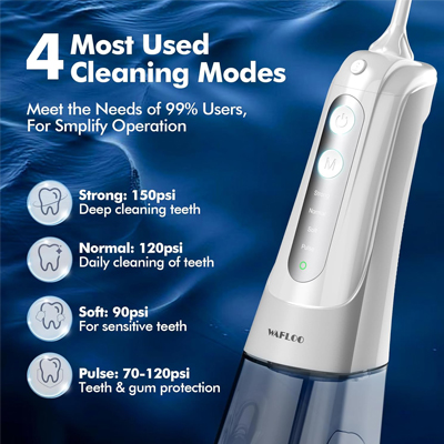 WAFLOO Cordless Water Flosser Teeth Pick Y801W